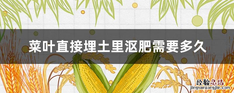菜叶直接埋土里沤肥需要多久 菜叶子沤肥需要多久?