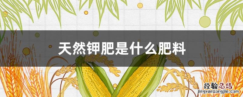 天然钾肥是什么肥料 钾肥是啥肥料