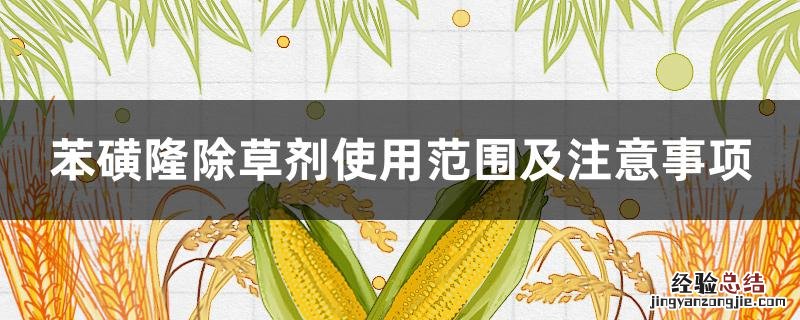 苯磺隆除草剂使用范围及注意事项 苯磺异丙隆除草剂使用方法