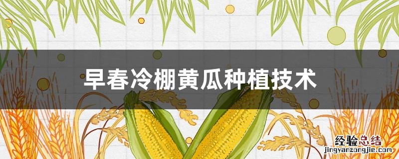 早春冷棚黄瓜种植技术 温室早春黄瓜高产栽培技术