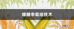 蜂糖李栽培技术 蜂糖李栽培技术培训课程PPT