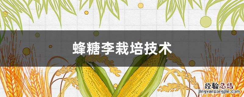 蜂糖李栽培技术 蜂糖李栽培技术培训课程PPT