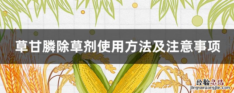 30%草甘膦除草剂使用方法及注意事项 草甘膦除草剂使用方法及注意事项