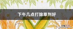 下午几点打除草剂好 下午几点打除草剂好玉米