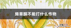 农药烯草酮的作用 烯草酮不能打什么作物