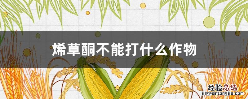 农药烯草酮的作用 烯草酮不能打什么作物
