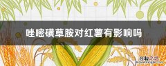 唑嘧磺草胺对红薯有影响吗 唑嘧磺草胺能用于红薯田间除草吗