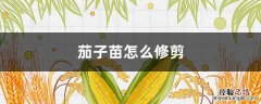请问刚栽的茄子苗怎样管理 茄子苗怎么修剪
