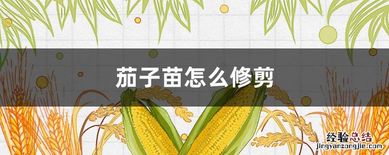 请问刚栽的茄子苗怎样管理 茄子苗怎么修剪