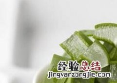 可食用芦荟的功效 食用芦荟的功效与作用