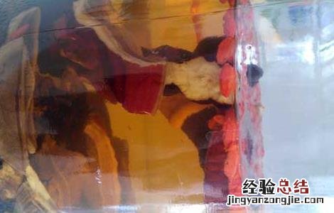 灵芝怎么泡酒好 灵芝怎么泡酒好喝