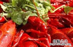 麻辣小龙虾的做法 麻辣小龙虾的做法最正宗的做法视频