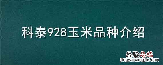 玉米种子科泰881品种 科泰928玉米品种介绍