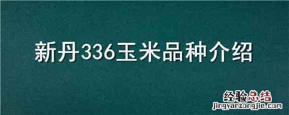 新丹336玉米好吗 新丹336玉米品种介绍
