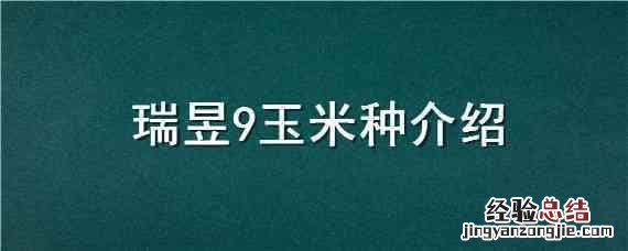 瑞昱9玉米种介绍 坤瑞258玉米种子