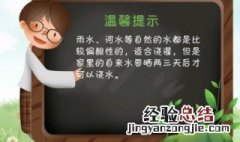 发财树浇水的正确方法 发财树浇水的正确方法浇什么水好