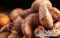 熟腰果仁的功效与作用 熟腰果仁的功效与作用是什么