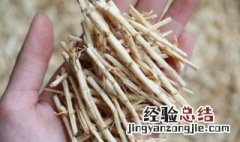 白茅根的营养价值 白茅根的药用价值