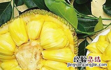 菠萝蜜的胶怎么洗 菠萝蜜的胶怎么洗下去