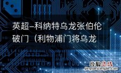利物浦门将乌龙 英超-科纳特乌龙张伯伦破门