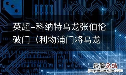 利物浦门将乌龙 英超-科纳特乌龙张伯伦破门