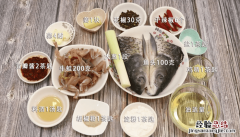 美蛙鱼头 美蛙鱼头图片