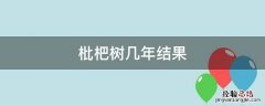 枇杷树几年结果?枇杷树为什么不结果? 枇杷树几年结果