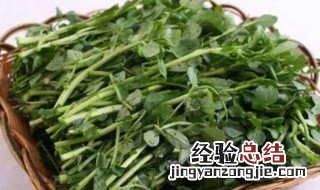 西洋菜功效 西洋菜有何功效