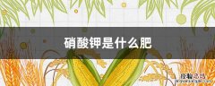 硝酸钾是什么肥 硝酸钾是什么肥料,用在小麦上行吗?