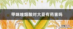 甲咪唑烟酸对大豆有药害吗 甲咪唑烟酸对小麦药害