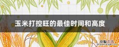 玉米控旺的最佳时期,千万不要错过! 玉米打控旺的最佳时间和高度