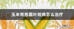 弯孢菌叶斑病 玉米弯孢菌叶斑病怎么治疗