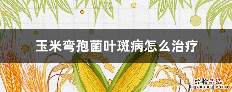 弯孢菌叶斑病 玉米弯孢菌叶斑病怎么治疗