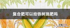 铁树能施复合肥吗 复合肥可以给铁树施肥吗