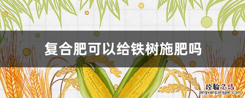 铁树能施复合肥吗 复合肥可以给铁树施肥吗