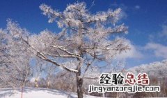 描写初冬景色的优美句子 描写冬天景色唯美句子