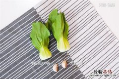 蒜蓉小白菜的做法