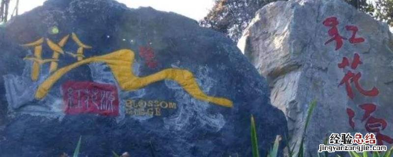 绵阳花荄附近有什么免费门票好玩的地方