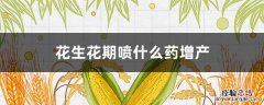 花生花期喷什么药增产 花生盛花期打什么药能增产
