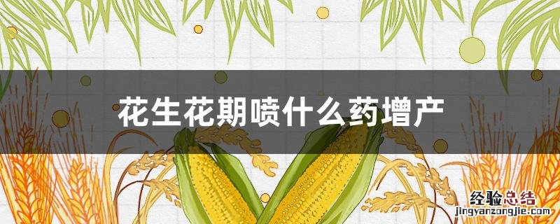 花生花期喷什么药增产 花生盛花期打什么药能增产