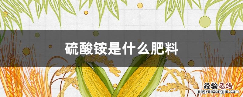硫酸铵是什么肥料 硫酸铵化肥是什么肥?