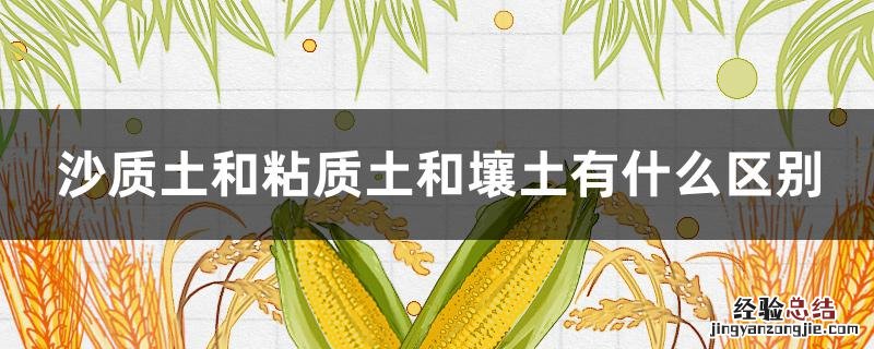 沙质土和粘质土和壤土有什么区别 沙质土和粘质土和壤土有什么区别那个长的好看