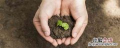 微生物肥料与化肥之间是互补还是兼容