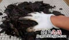 养花怎样配制酸性土壤 家庭养花如何自制酸性土壤