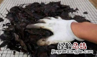 养花怎样配制酸性土壤 家庭养花如何自制酸性土壤