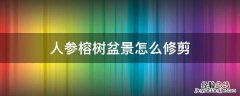 人参榕树盆景怎么修剪 人参榕盆景修剪方法