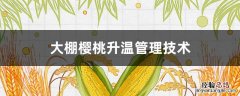 大棚樱桃升温管理技术 樱桃树大棚升温开始技术怎么管理