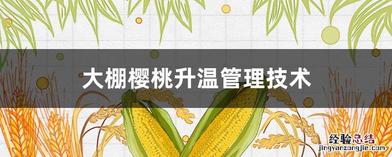大棚樱桃升温管理技术 樱桃树大棚升温开始技术怎么管理