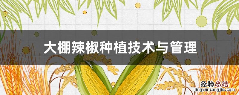 大棚辣椒种植技术与管理 大棚辣椒种植技术与管理视频