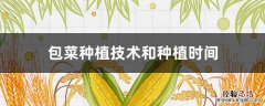 包菜种植技术和种植时间 包头菜的种植技术和时间